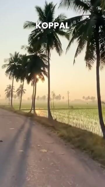 Koppal Tour Packages | Hampi Heritage, Ancient Temples & Historic Fort Tours