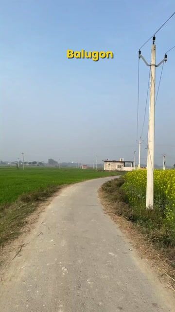 Balugaon & Chilika Lake Gateway Tour with Kedareswar Sahu | Kalijai Temple & Dolphin Cruise