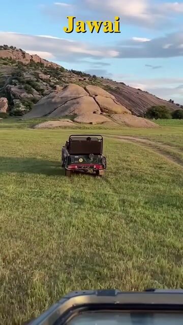 Pali Ranakpur Jain Temple & Jawai Leopard Safari Tour with Kuldip Singh | Om Banna Shrine