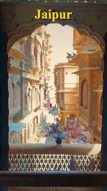 Jaipur Tour Packages | Hawa Mahal, Nahargarh Fort & Royal Heritage Tour