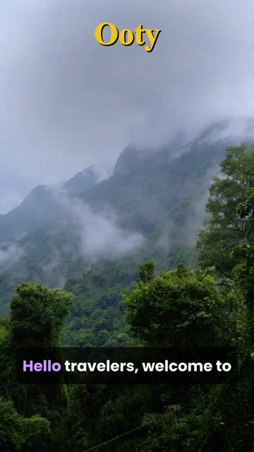 Ooty Sightseeing Tour | Tea Gardens, Doddabetta Peak & Nilgiri Hills Experience