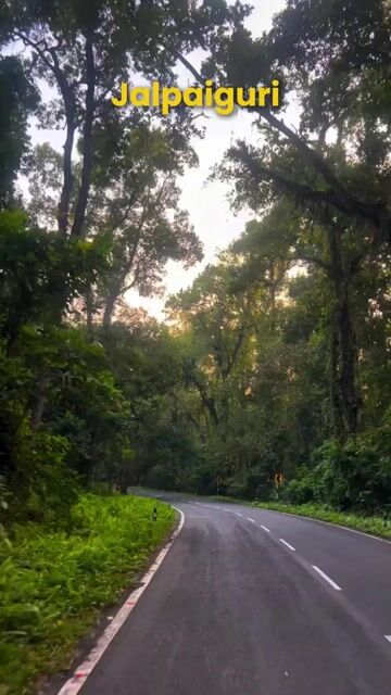 Jalpaiguri Tour Packages | Gorumara, Jaldapara, Tea Gardens & North Bengal Wildlife