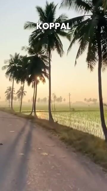 Koppal Tour Packages | Vijayanagara Heritage, Ancient Temples & Hampi Tours