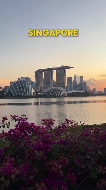 Singapore Tour Packages | Marina Bay, Gardens by the Bay & City Guided Experiences