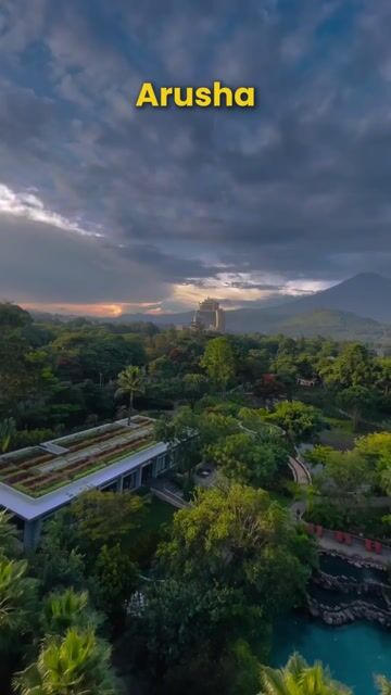 Tanzania Safari Packages from Arusha | Serengeti, Ngorongoro & Tarangire