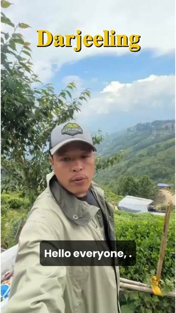 Darjeeling Hill Station Tour | Tiger Hill Sunrise & Tea Garden Experience