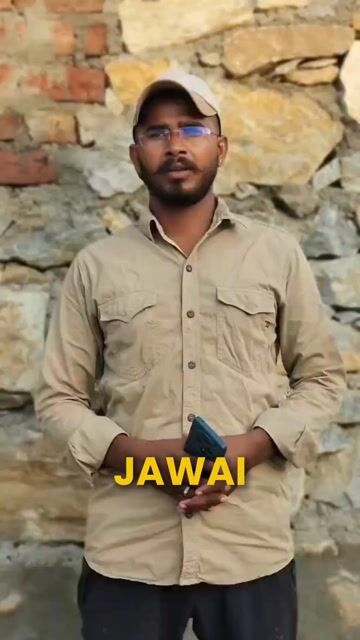 Jawai Leopard Safari Tour | Leopard Tracking, Jawai Dam & Wildlife Adventure