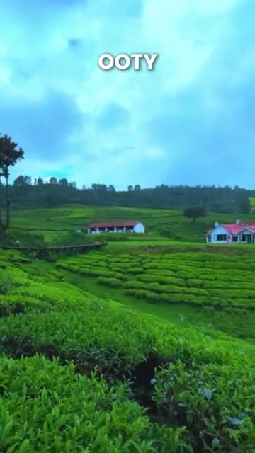 Ooty Tour Packages | Ooty Lake, Botanical Garden, Doddabetta Peak & Tea Gardens