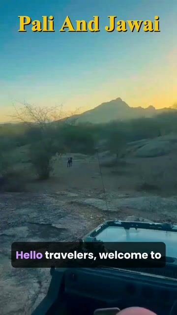 Jawai Leopard Safari Packages | Wildlife, Birding & Pali Heritage Tours
