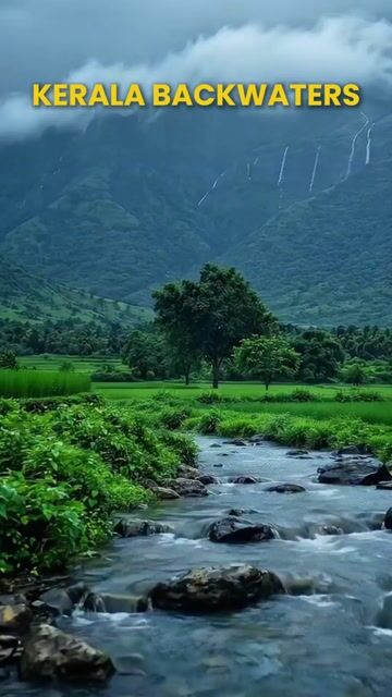 Kerala Backwater Tour Packages | Alleppey, Kumarakom Houseboat & Kerala Village Tours