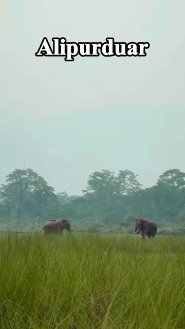 Alipurduar Tour Packages | Buxa Tiger Reserve, Jaldapara Safari & Jayanti