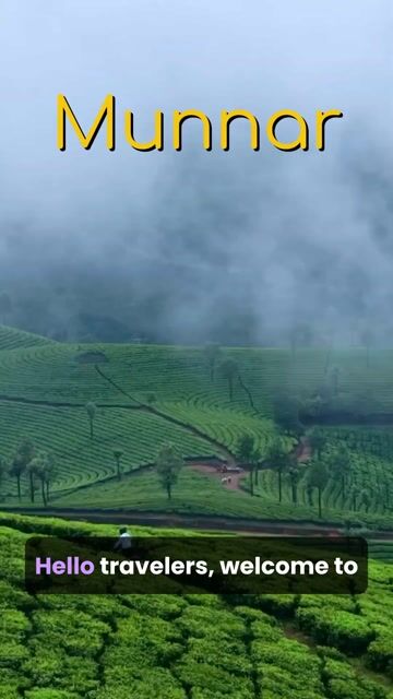 Munnar Tour Package | Tea Garden Sightseeing | 2 Days Kerala Hill Station Tour with Stay