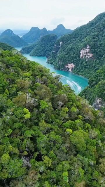 Real Andaman Island Experience