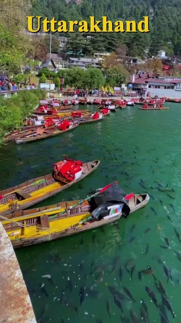 Uttarakhand Tour Packages | Nainital, Mussoorie, Kedarnath & Auli Holidays