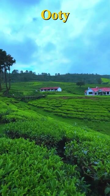 Ooty Nilgiri Toy Train & Doddabetta Peak Tour with Diaries4Travel | Botanical Gardens & Ooty Lake