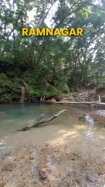 Jim Corbett Safari Tour | Wildlife, Temple & Nature Experience Ramnagar