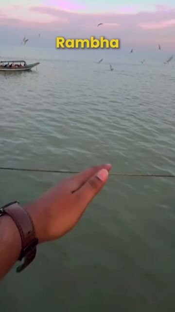 Rambha Tour Packages | Chilika Lake, Kalijai Temple & Dolphin Watching