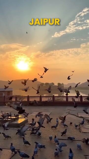 Jaipur Tour Packages | Amber Fort, Hawa Mahal & City Palace Guided Tours