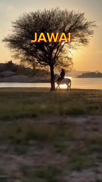 Jawai Leopard Safari & Resort Stay | Thour Nature Resorts Wildlife Experience