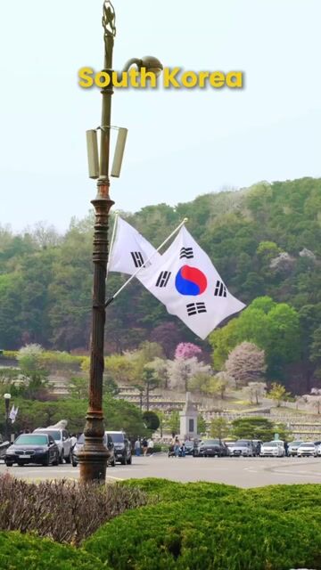 South Korea Tour Packages | Seoul, Busan, Jeju Island & Palace Guided Experiences