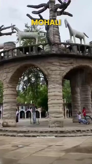 Mohali Tour Packages | Tricity Sightseeing, Chandigarh & Valley of Flowers Tours