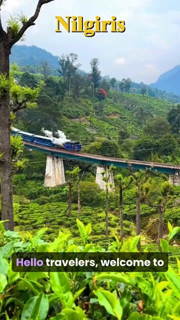 Nilgiris Tour Packages | Ooty, Coonoor, Pykara & Mudumalai Guided Tours