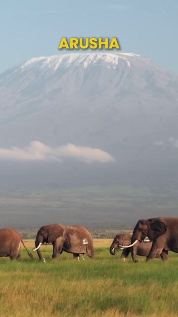 Local Tours & Experiences by Victor Jerome Orota