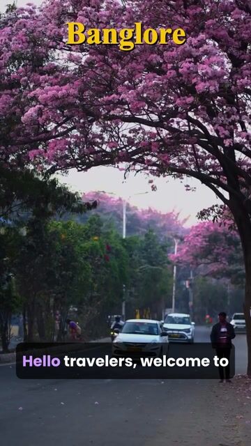 Bangalore City Tour | Gardens, Heritage Sites & Cultural Experience