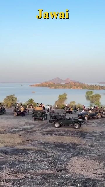 Jawai Leopard Safari Packages | Private Gypsy Safari, Jawai Dam & Wildlife Tours