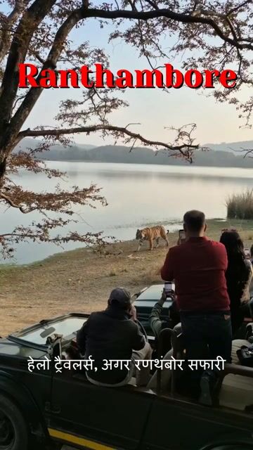Ranthambhore Tiger Safari Packages | Budget to Private Jeep Experience with Local Guide