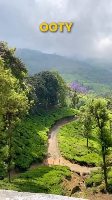 Ooty